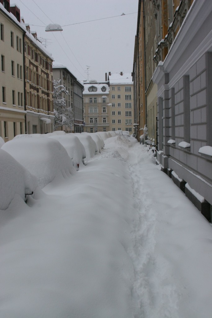 Baumstrasse under snow