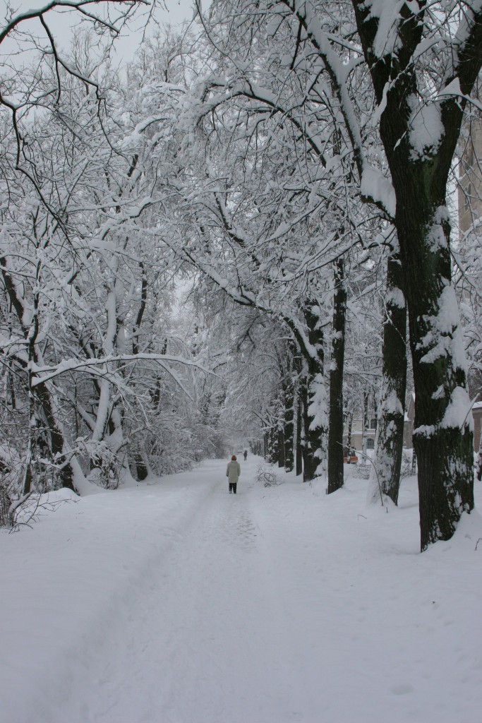 Path by the Isar, with snow